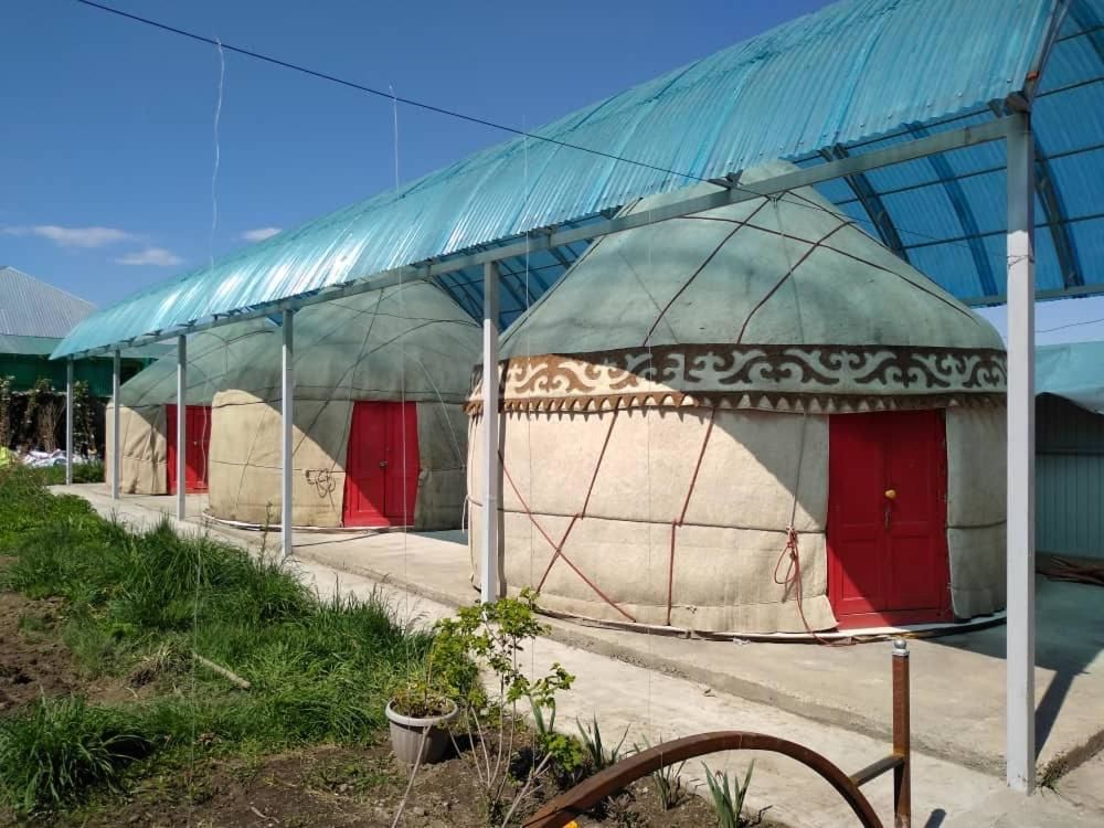 Кемпинги Karakol Yurt Lodge Каракол-53